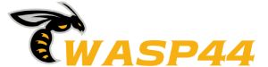 WASP44 เว็บสล็อตออนไลน์ของแท้ นักพนันตัวจริงเล่นเยอะสุด